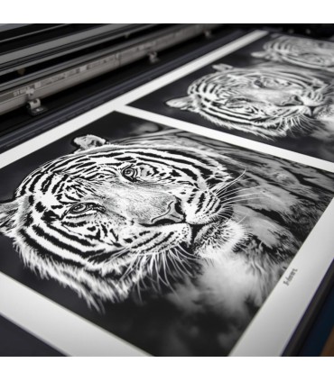 Screenprinting inkjet film 432mmx30m 165my